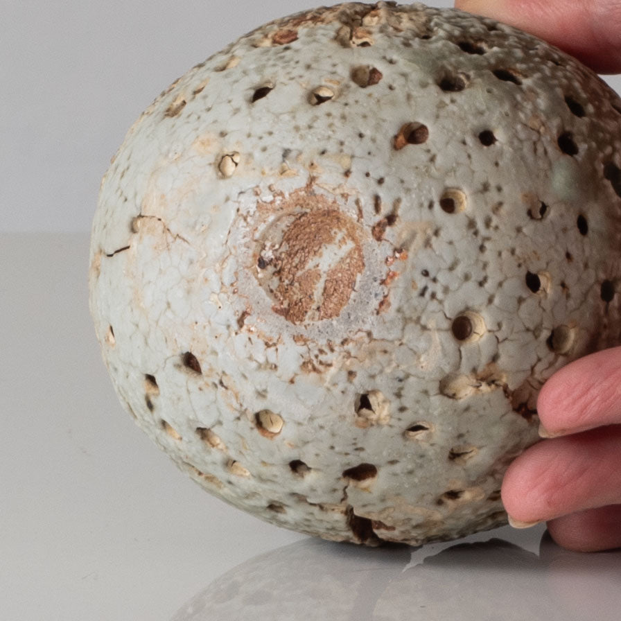 Alan Wallwork, UK, unique stoneware sculptural pod form vessel L3362