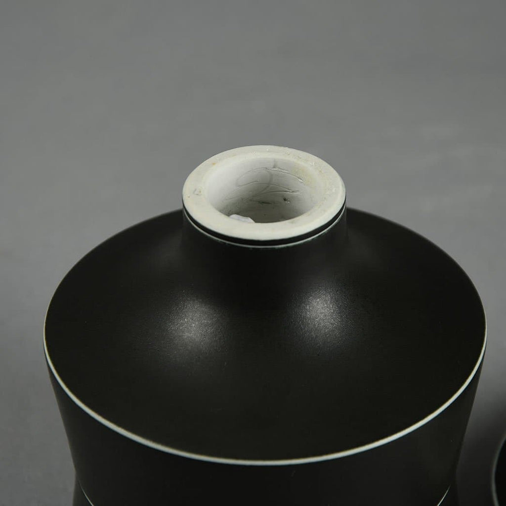 Johan Broekema, Netherlands, lidded jar with matte black and white glaze E7155 - Freeforms