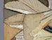 Tyra Lundgren "Doves Prancing" ceramic relief B3797 - Freeforms